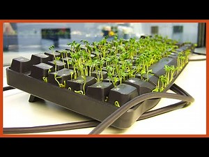 Hilarious Pranks For April Fools' Day