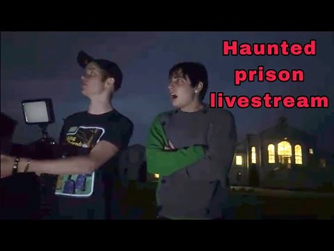 Sam, Colby, Wilbur and George livestream