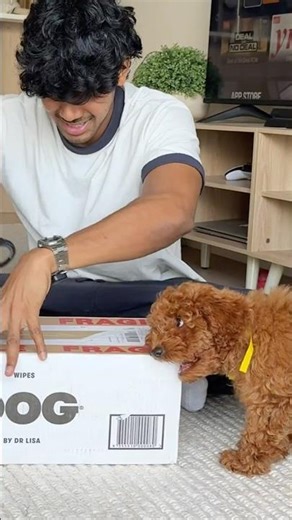 Unboxing Leo’s new essential kit 🤎🐶