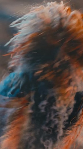 this track is one of ten voted to get pressed to vinyl and made available to everyone for the first time by the Nomark club. we sold out of some options before I could post but for the moment there’s still records to be scooped https://shop.nomark.net/products/nomark-selects-v-2-vinyl | Amon Tobin