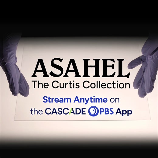 20K views · 188 reactions | Over 60,000 glass plate negatives by...