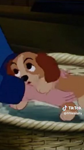 Merry Christmas🎄Lady and the tramp (1955) #oldhollywood #movies #fyp #disney #christmas #ladyandthetramp #animation #waltdisneyworld #oldcartoons #peterpan #christmastok #littlelady #moviescene #cinderella #disneytiktok #sleepingbeauty #foryoupage #christmasfilm #nostalgia #movieclips #oldhollywoodmovies #disneymovies #oldhollywoodstyle #disneyclassics #101dalmatians #christmasmusic #nostalgic #fypp #disneyland #cartoon #christmasseason #winter #december #lady #christmastime #disneyfilms