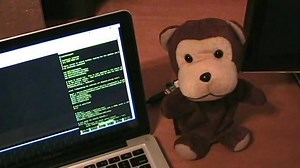 Twitter Monkey
