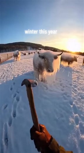 Unbelievable Winter Conditions in the UK