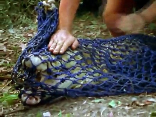 The Crocodile Hunter - Ep01 HD Watch