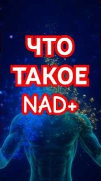 WHAT IS NAD+ AND WHY IS EVERYONE TALKING ABOUT IT