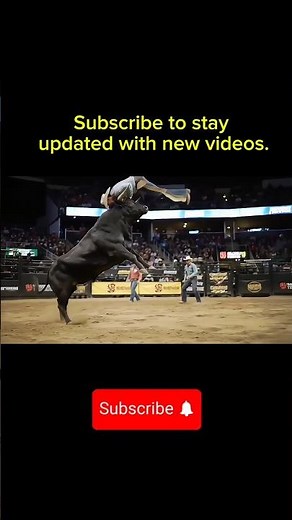 Wild Bull Toss! Cowboy Flies Off in Epic Rodeo Action 🐂🎯 #cowboys