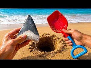 I Hunted for Giant Shark Teeth with No Experience