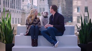 Catch Sting, Mandy Moore and Snoop Dogg when they stop by Talk Stoop to chat with Cat Greenleaf. | USA Network