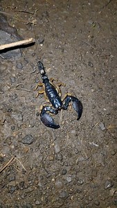 40 reactions | ASHVIN STUDIO LIVE | Narendr Padani | Facebook