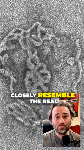 Scientists grow world’s first pair of testicles in lab that could help with infertility | Hard Factor