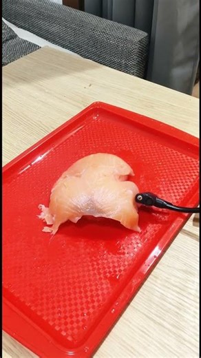 We are inflating a salmon with a pump #shorts