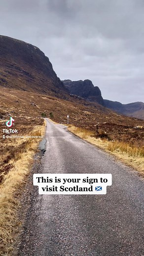 52K views · 4.8K reactions | What are you waiting for? 歷gbsct ...