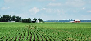 23 Historical and Cultural Indiana Facts | FactRetriever