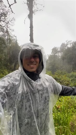 A Day-to-Day Breakdown of Climbing Kilimanjaro: What You’ll Experience #mountkilimanjaro #kilimanjaro #kilimanjaroguide #climbingkilimanjaro #mount | Mount Kilimanjaro Guide