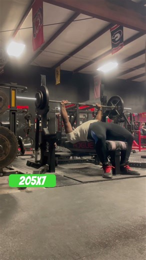 CG Bench 205