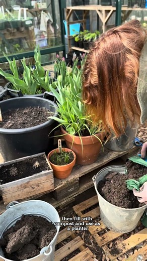 Vintage planter garden DIY 🌱 #gardenprojects #gardeninguk
