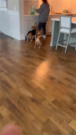 Mom’s home! 🐾 | Gretchen Wilson