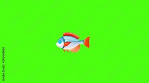 Animated fish swims on a green screen, looped video