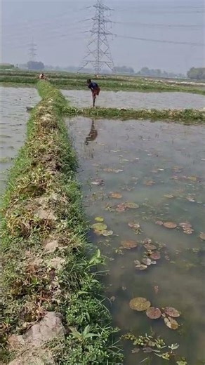 #miniblock #🫂videos #shots