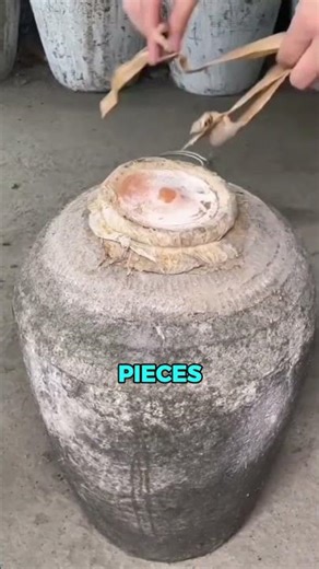 Would You Drink 100 Year Old Wine🍷