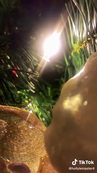 Holly Lemaster on TikTok