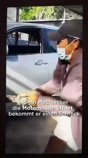 Horror-Szenario: Python in der Motorhaube #Shorts