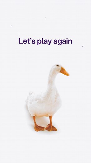 Interactive Gaming Experience with Animals
