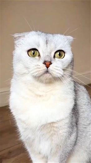 Wait For The End PT 3 | React With JK #shorts