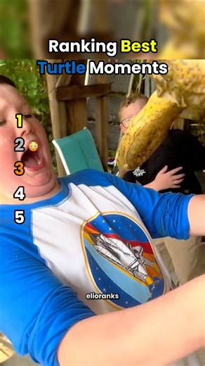 Ranking CRAZY TURTLE Moments