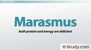 Health Effects Associated with Proteins - Video | Study.com