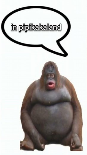 pipi und kaki in pipi kaka land 🤘😭🔥