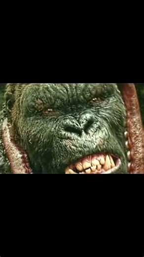 Kong: Skull Island (2017) | Cinema Cue 1