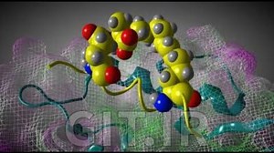 برنامه MOE در جلسه عملی طراحی دارو به کمک کامپیوتر