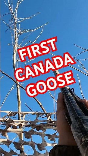 POV flying goose shot | real hunt🪿#shorts #goose #hunting #gopro #geese #outdoors #nature #wildlife