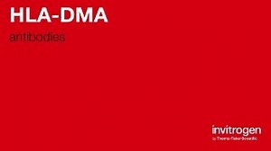 HLA-DMA antibodies from Thermo Fisher Scientific