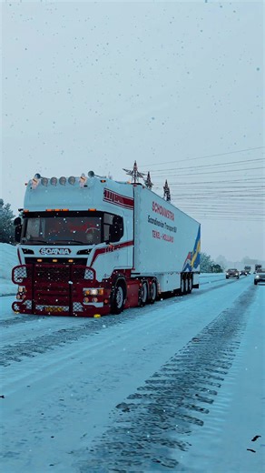 #scania #ets2mods🚛 #ets2 #ets2mod