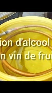 Distillation d'alcool à partir des vins de fruits ( fabrication d'un alambic)