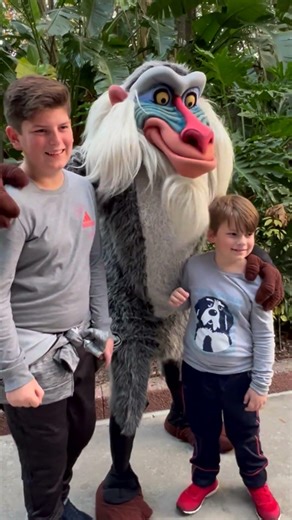 Meeting Rafiki Meet and Greets in the Hollywood Studios at Disney World