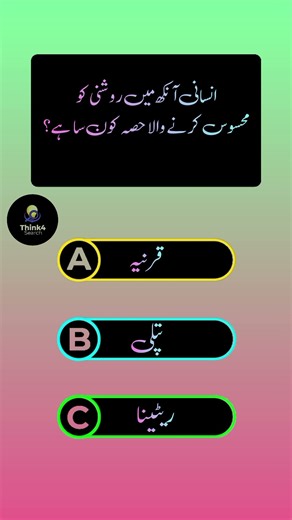 What is the light-sensing part of the human eye?