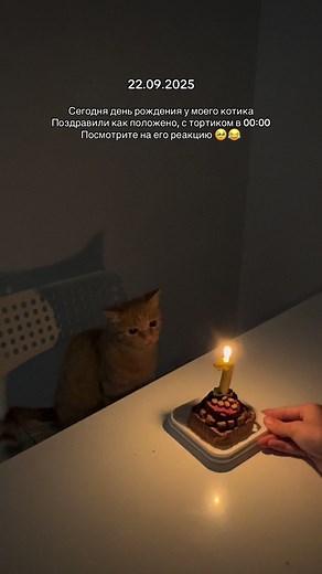 С днём рождения, Рыжик! Праздничные мгновения