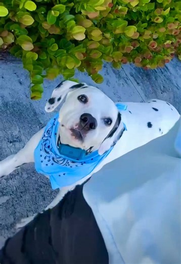 petepricetattoos on TikTok