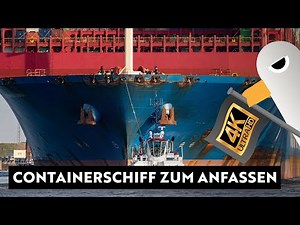 Containerschiff zum Anfassen 🍿 LIVE 4K Hafenkino