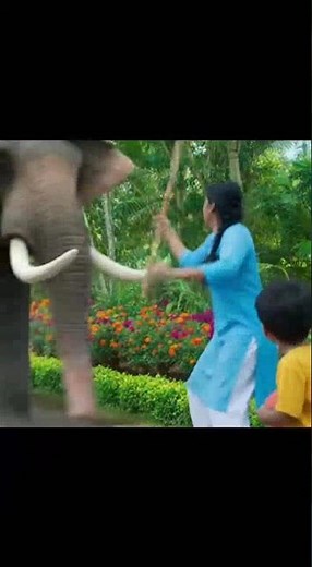 Mother protecting child #viralvideos #animals #elephantattack #elephant #mother
