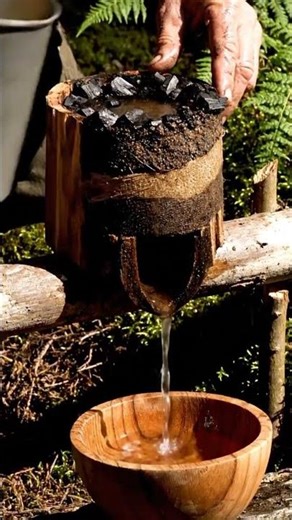 Primitive Filtration: Purifying Murky Water for Safe Drinking