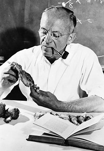 Aldo Leopold - Alchetron, The Free Social Encyclopedia