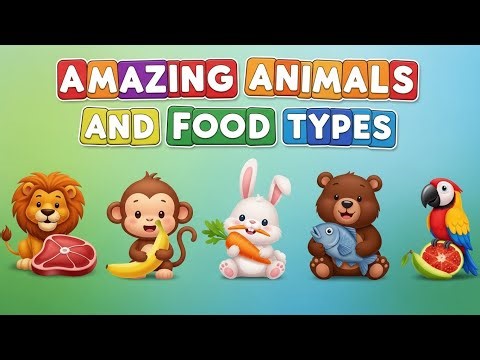 Animal Food Types Explained for Kids (Funny Cartoons)