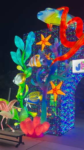 Kick off December with a glow! 🏮✨ Colors of the Wild returns this weekend with lanterns, seasonal fun and dazzling wildlife displays across the Zoo. What to Expect: 🕯️ Lanterns illuminate at 5:30 p.m. 🌙 A magical nighttime walk through illuminated wildlife scenes 📸 Photo ops that light up your feed ✨ Tickets include Zoo entry beginning at 3 p.m. 🎄 Add even more fun to your visit by dressing up for this Saturday’s festive themed night: Tropical Christmas Start the month with lights, wildlife