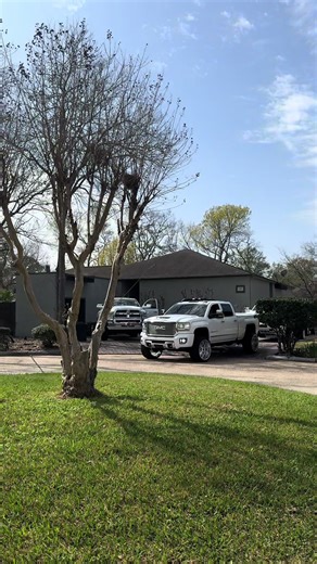 Exploring Lifted Trucks: LST and Popular Models