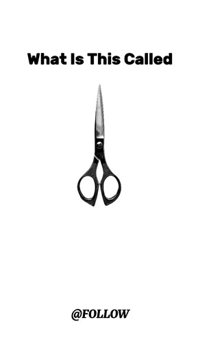 Guess the English Term with Our Hard Quiz